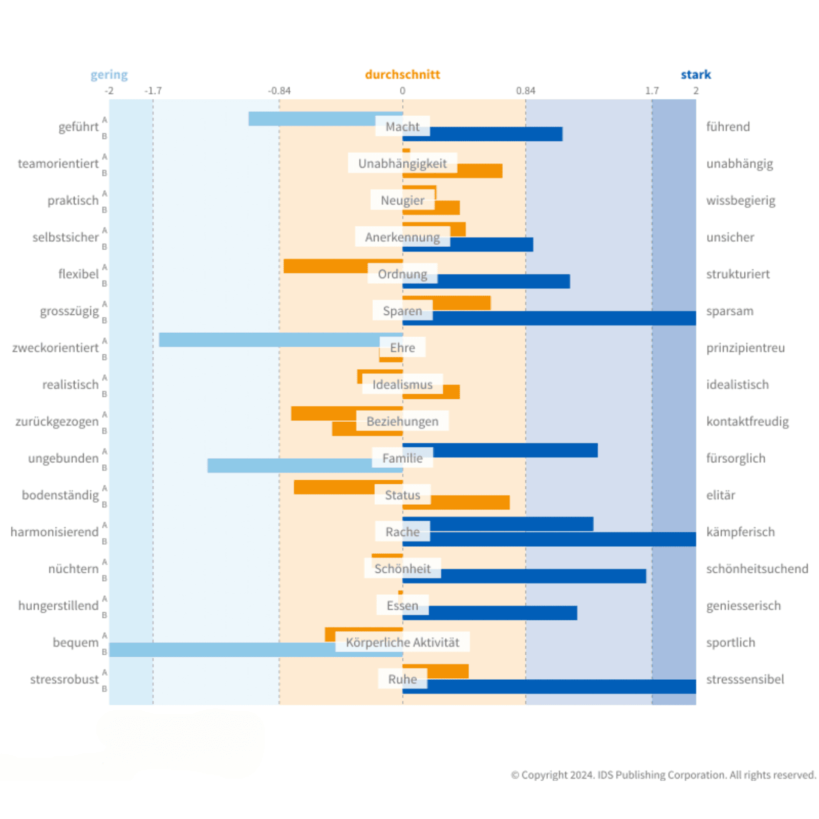 Reiss Motivation Profile© 2er Team